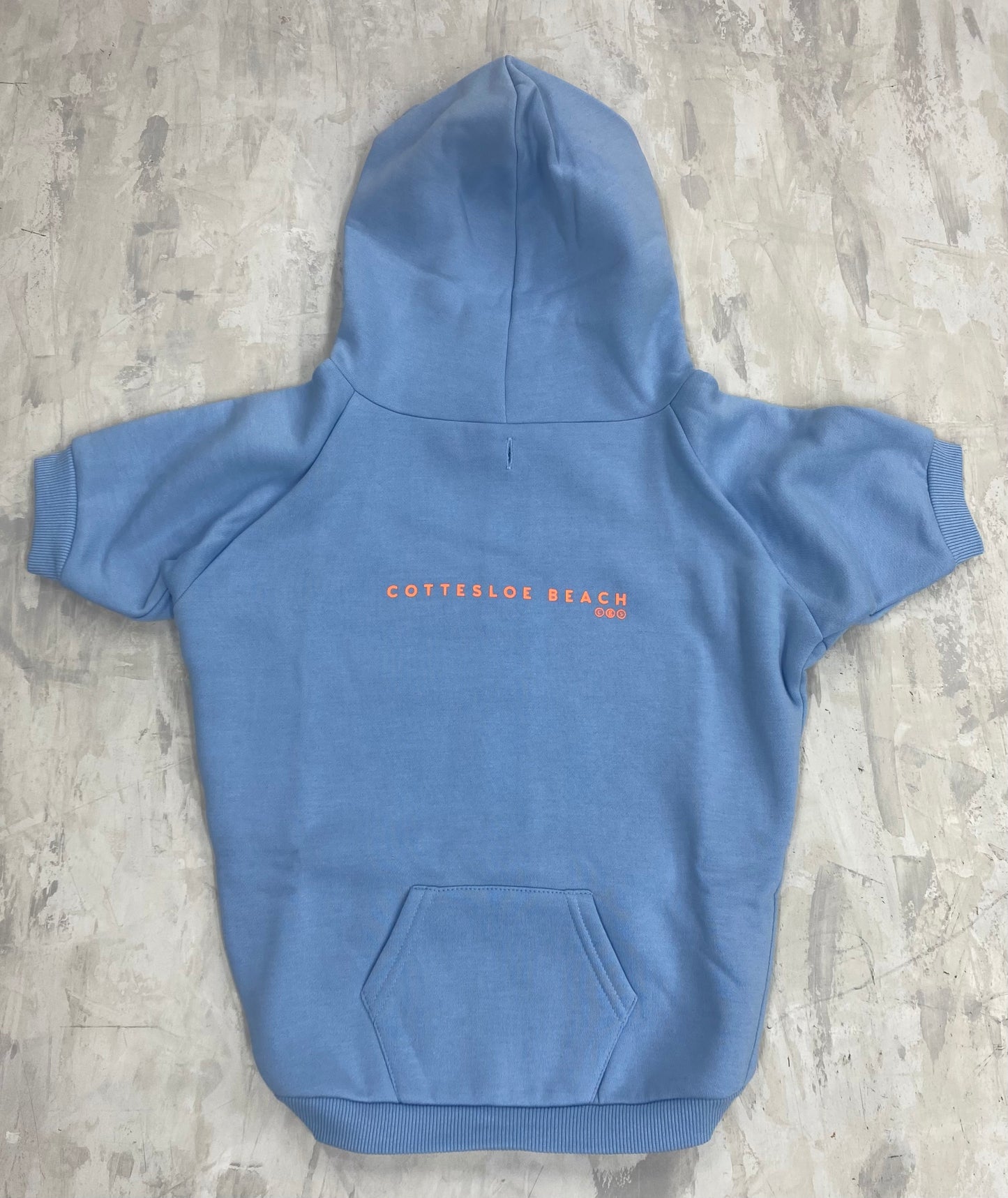 Dog Hoodie Sky Blue - Orange Text